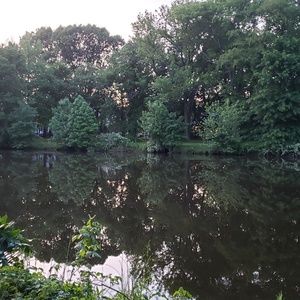 Meet your Posher, Marla